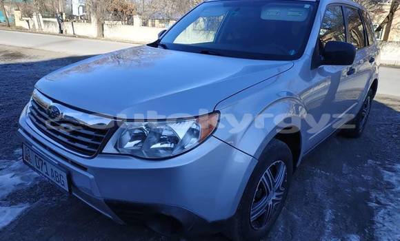 Buy Used Subaru Forester Silver Car in Bishkek in Bishkek