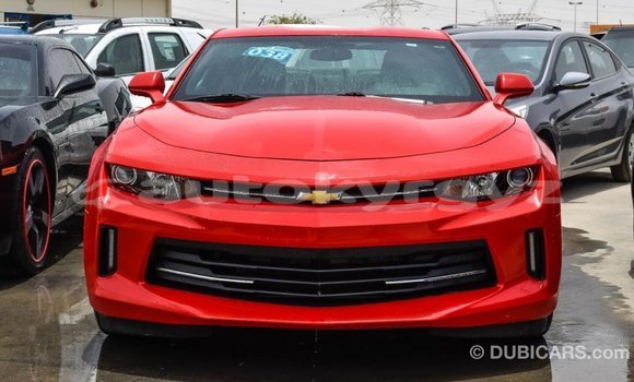 Buy Import Chevrolet Camaro Red Car in Import - Dubai in Batken Buy Import Chevrolet Camaro Red Car in Import - Dubai in Batken