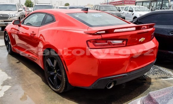 Buy Import Chevrolet Camaro Red Car in Import - Dubai in Batken Buy Import Chevrolet Camaro Red Car in Import - Dubai in Batken