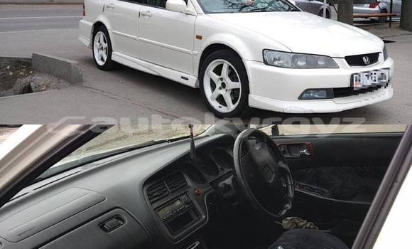 Buy Import Honda Accord White Car in Bishkek in Bishkek