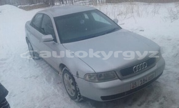 Buy Used Audi A4 Silver Car in Bishkek in Bishkek