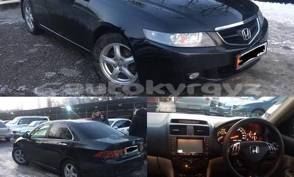 Buy Used Honda Accord Black Car in Bishkek in Bishkek Buy Used Honda Accord Black Car in Bishkek in Bishkek
