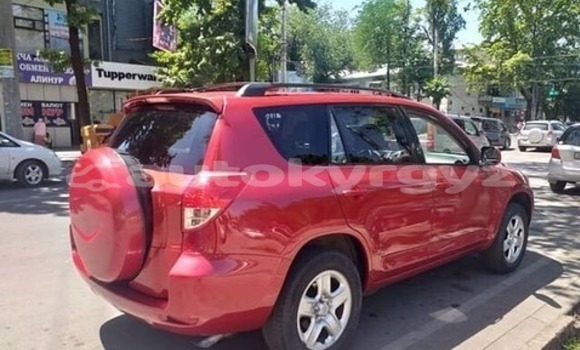 Buy Used Toyota RAV4 Red Car in Bishkek in Bishkek Buy Used Toyota RAV4 Red Car in Bishkek in Bishkek
