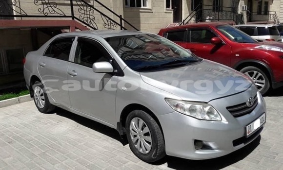 Buy Used Toyota Corolla Silver Car in Bishkek in Bishkek Buy Used Toyota Corolla Silver Car in Bishkek in Bishkek