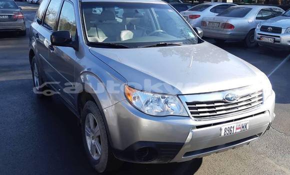 Buy Used Subaru Forester Silver Car in Bishkek in Bishkek Buy Used Subaru Forester Silver Car in Bishkek in Bishkek