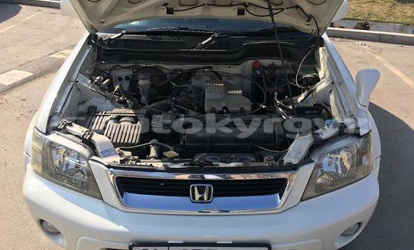 Buy Used Honda CR–V White Car in Bishkek in Bishkek Buy Used Honda CR–V White Car in Bishkek in Bishkek