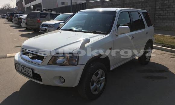 Buy Used Honda CR–V White Car in Bishkek in Bishkek Buy Used Honda CR–V White Car in Bishkek in Bishkek