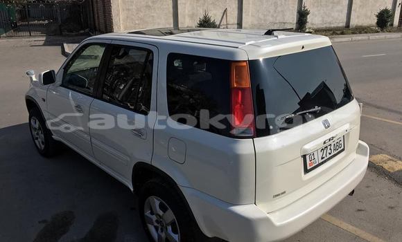 Buy Used Honda CR–V White Car in Bishkek in Bishkek Buy Used Honda CR–V White Car in Bishkek in Bishkek