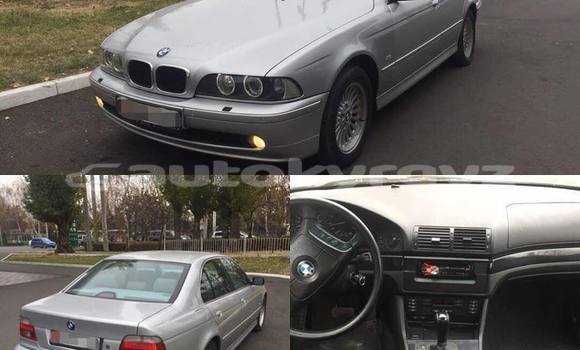 Buy Import BMW 5–Series Silver Car in Bishkek in Bishkek