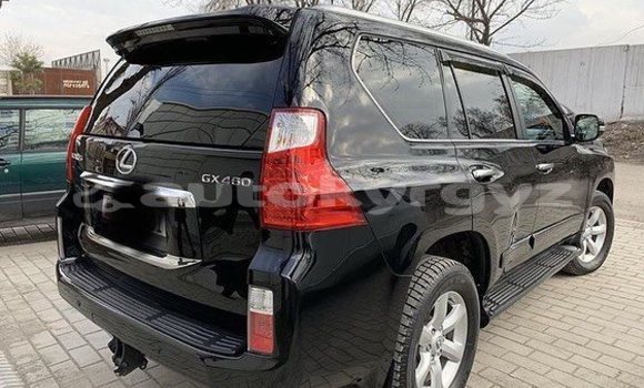 Buy Used Lexus GX Black Car in Bishkek in Bishkek Buy Used Lexus GX Black Car in Bishkek in Bishkek