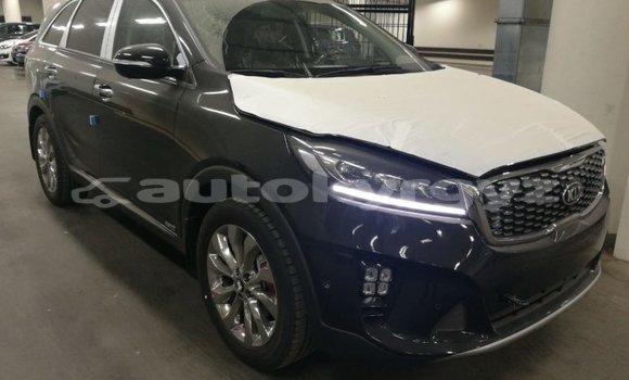 Buy Import Kia Sorento Brown Car in Import - Dubai in Batken