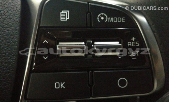 Buy Import Kia Sorento Brown Car in Import - Dubai in Batken Buy Import Kia Sorento Brown Car in Import - Dubai in Batken