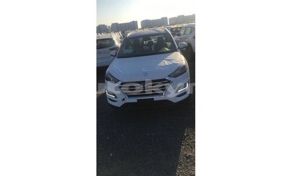 Buy Import Hyundai Tucson White Car in Import - Dubai in Batken Buy Import Hyundai Tucson White Car in Import - Dubai in Batken