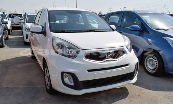 Buy Import Kia Picanto White Car in Import - Dubai in Batken