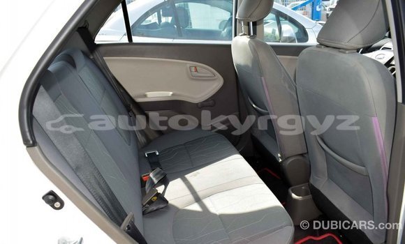 Buy Import Kia Picanto White Car in Import - Dubai in Batken Buy Import Kia Picanto White Car in Import - Dubai in Batken
