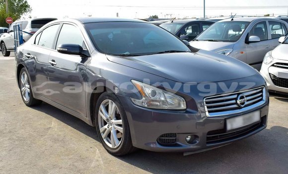 Buy Import Nissan Maxima Other Car in Import - Dubai in Batken Buy Import Nissan Maxima Other Car in Import - Dubai in Batken