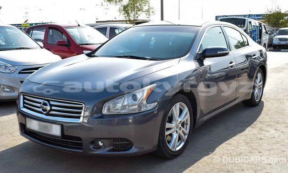 Buy Import Nissan Maxima Other Car in Import - Dubai in Batken Buy Import Nissan Maxima Other Car in Import - Dubai in Batken