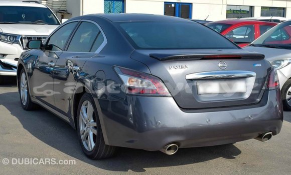 Buy Import Nissan Maxima Other Car in Import - Dubai in Batken Buy Import Nissan Maxima Other Car in Import - Dubai in Batken