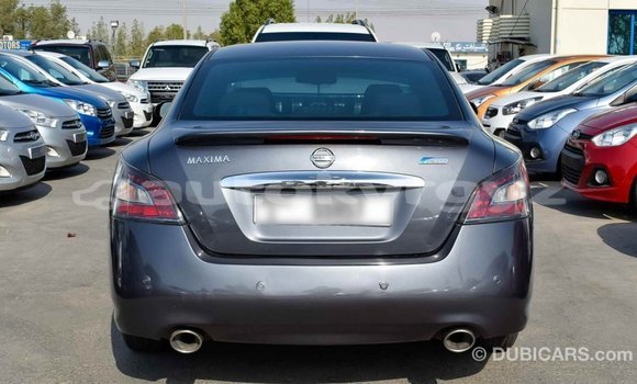 Buy Import Nissan Maxima Other Car in Import - Dubai in Batken Buy Import Nissan Maxima Other Car in Import - Dubai in Batken