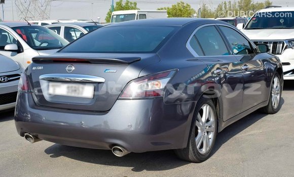 Buy Import Nissan Maxima Other Car in Import - Dubai in Batken Buy Import Nissan Maxima Other Car in Import - Dubai in Batken