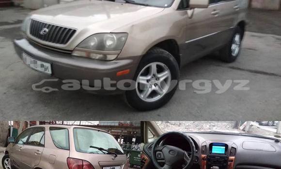 Buy Used Lexus RX 300 Brown Car in Bishkek in Bishkek