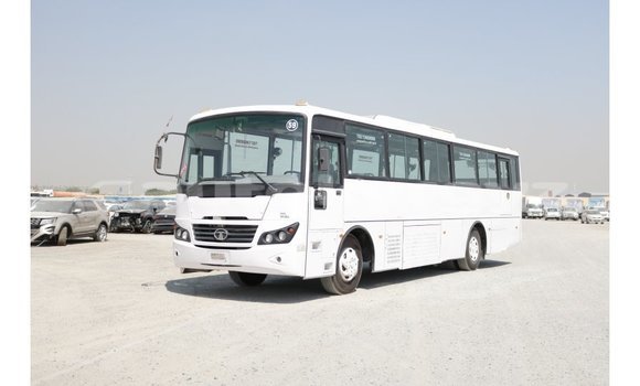 Buy Import Tata Xenon White Car in Import - Dubai in Batken