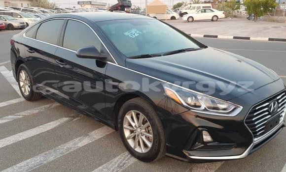 Buy Import Hyundai Sonata Black Car in Import - Dubai in Batken Buy Import Hyundai Sonata Black Car in Import - Dubai in Batken