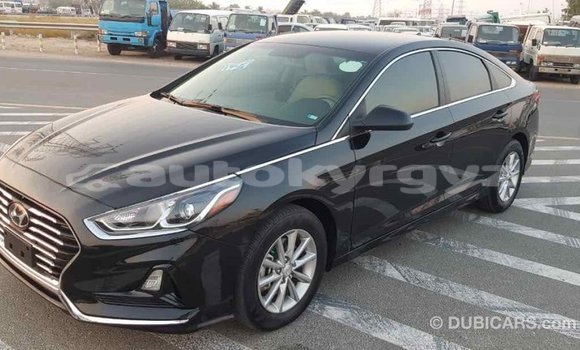 Buy Import Hyundai Sonata Black Car in Import - Dubai in Batken Buy Import Hyundai Sonata Black Car in Import - Dubai in Batken