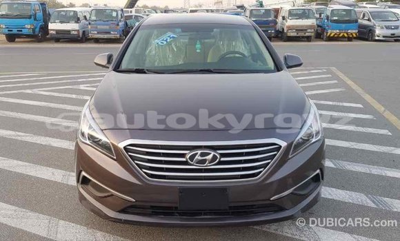 Buy Import Hyundai Sonata Brown Car in Import - Dubai in Batken Buy Import Hyundai Sonata Brown Car in Import - Dubai in Batken