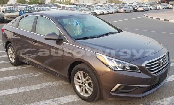 Buy Import Hyundai Sonata Brown Car in Import - Dubai in Batken Buy Import Hyundai Sonata Brown Car in Import - Dubai in Batken