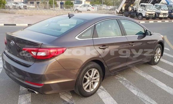 Buy Import Hyundai Sonata Brown Car in Import - Dubai in Batken Buy Import Hyundai Sonata Brown Car in Import - Dubai in Batken