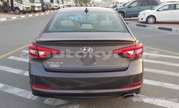Buy Import Hyundai Sonata Brown Car in Import - Dubai in Batken Buy Import Hyundai Sonata Brown Car in Import - Dubai in Batken