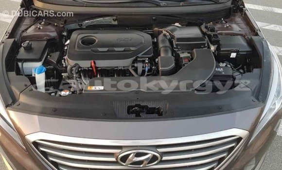 Buy Import Hyundai Sonata Brown Car in Import - Dubai in Batken Buy Import Hyundai Sonata Brown Car in Import - Dubai in Batken