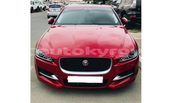 Buy Import Jaguar XE Red Car in Import - Dubai in Batken