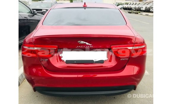 Buy Import Jaguar XE Red Car in Import - Dubai in Batken Buy Import Jaguar XE Red Car in Import - Dubai in Batken